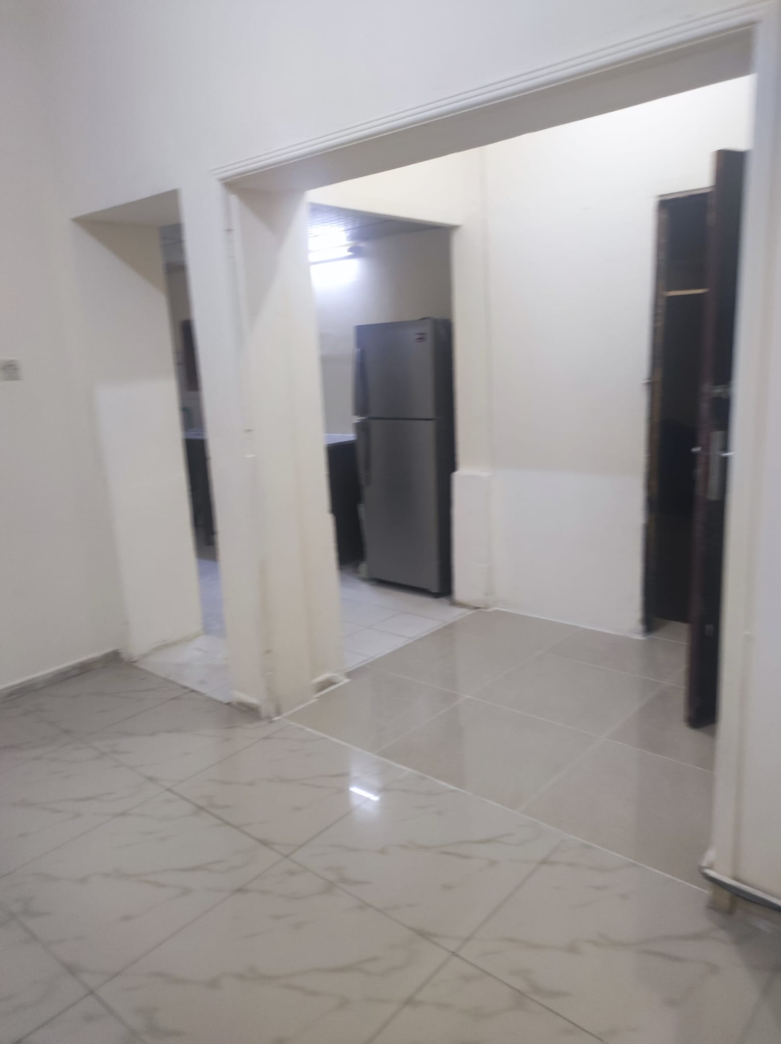 1BHK unit 101 - interior view 1