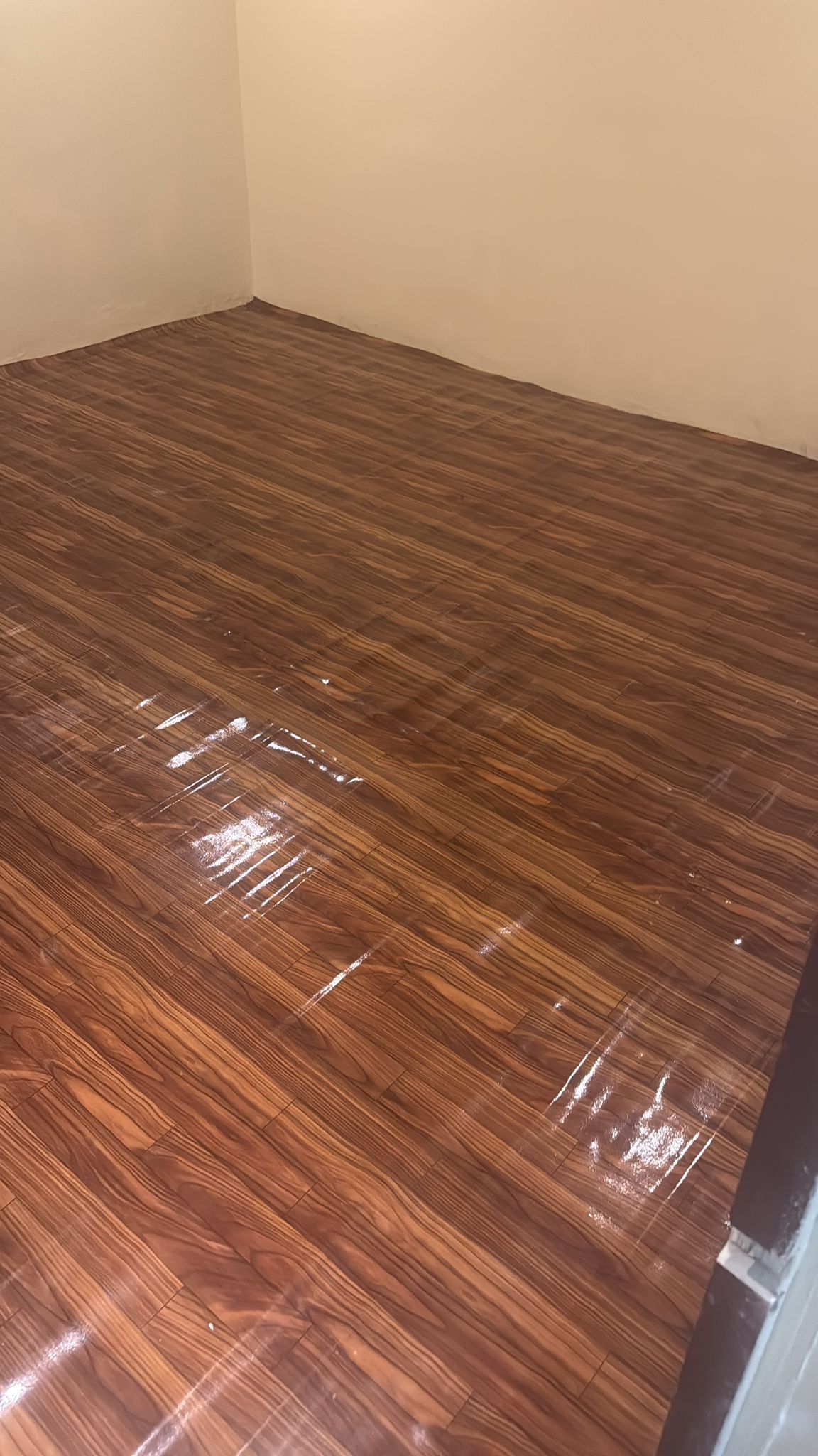 1BHK unit 101 - interior view 1