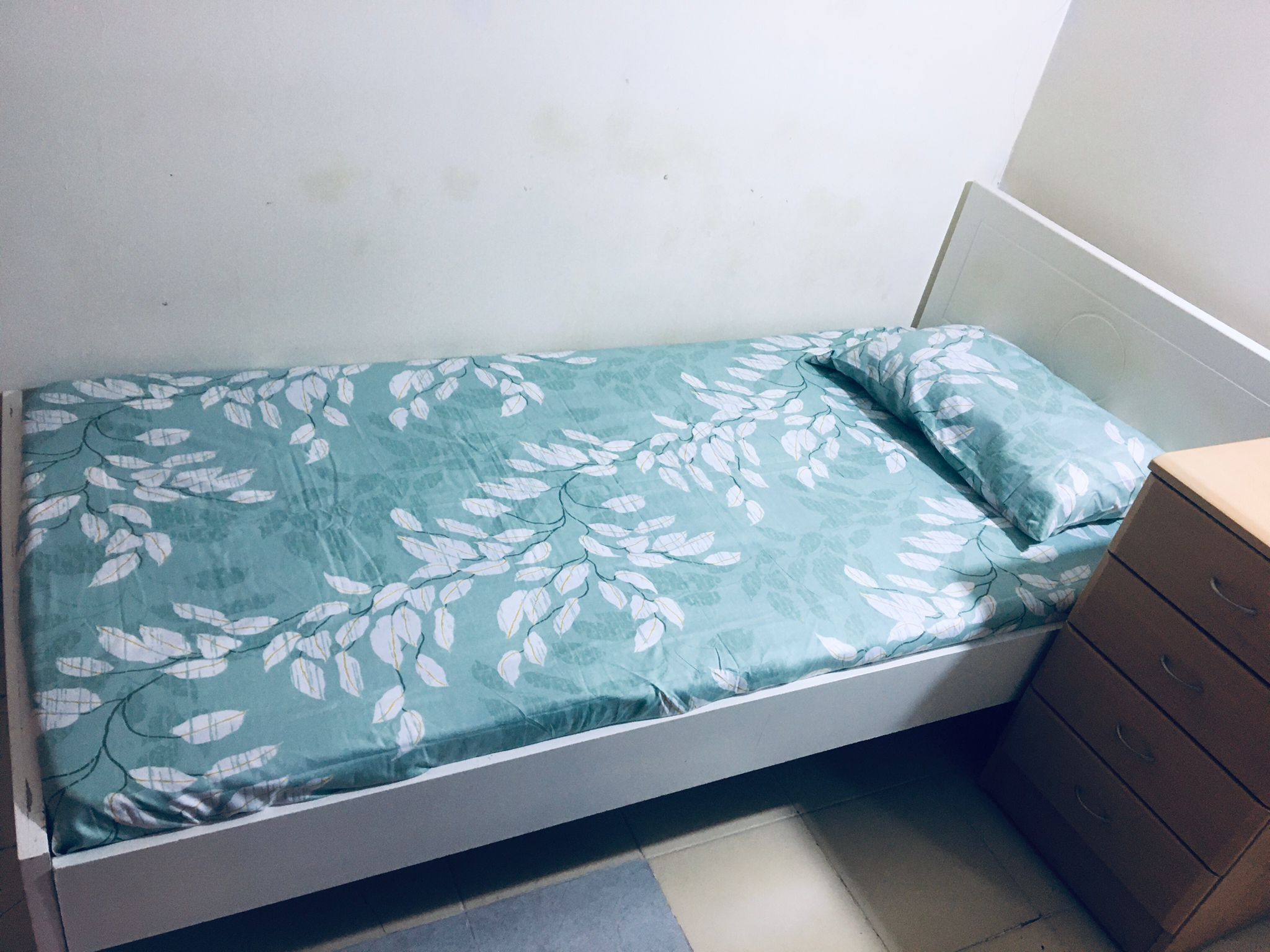 BACHLOR_BEDSPACE unit 102 - interior view 3